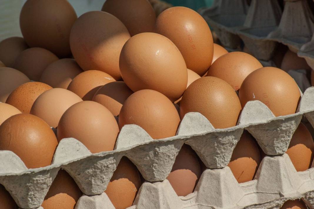 Beyaz mı kahverengi mi? Hangi yumurta daha sağlıklı? 13